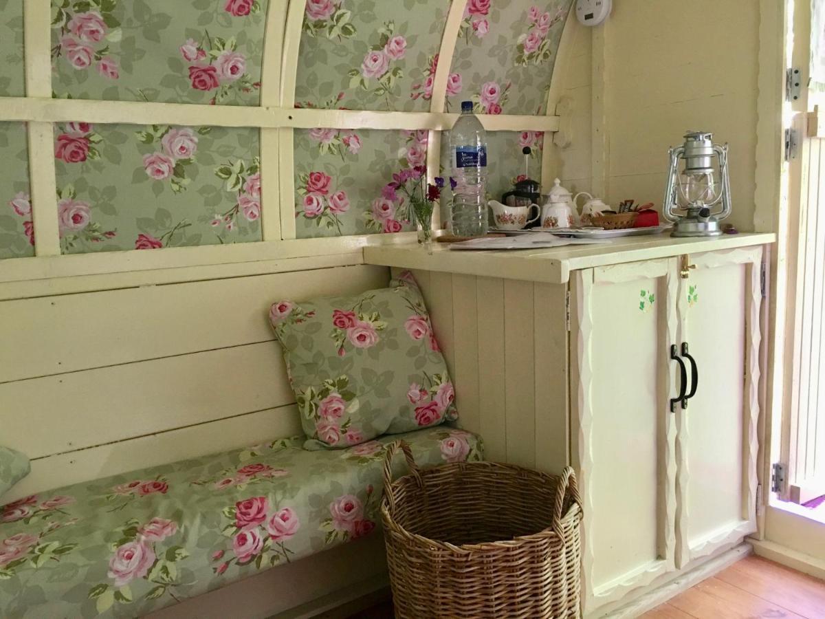 Bed and Breakfast Fernwood à Ringwood Extérieur photo
